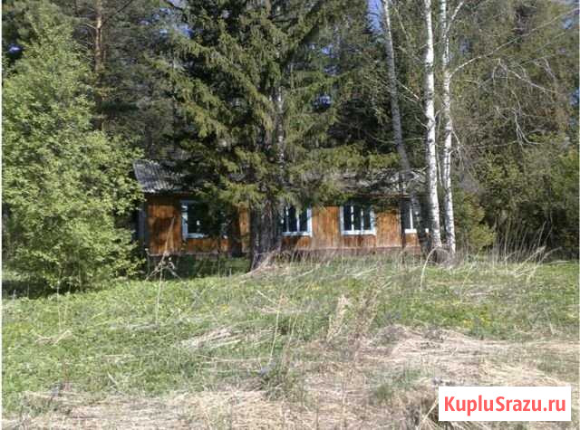 Участок СНТ, ДНП 15 сот. на продажу в Новокузнецке Новокузнецк - изображение 2