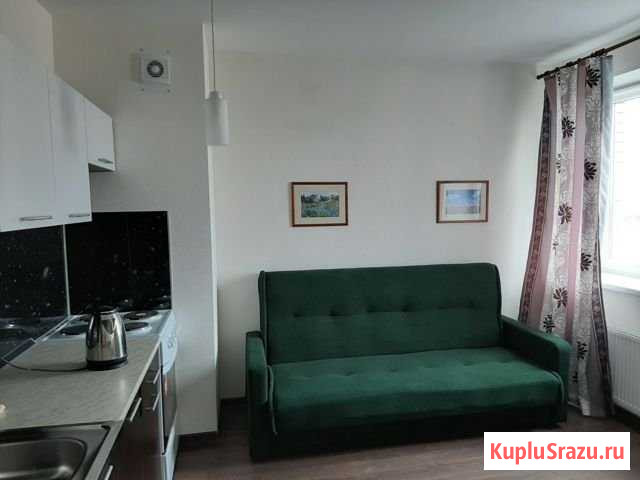 Квартира-студия, 25 м², 5/11 эт. в аренду на длительный срок в Санкт-Петербурге Санкт-Петербург - изображение 1