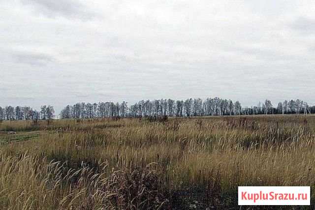Участок ИЖС 15 сот. на продажу в Пущино Пущино - изображение 1