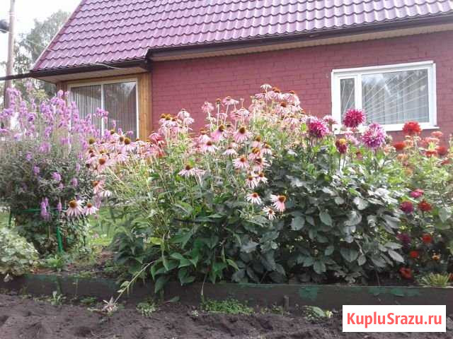 Дача 70 м² на участке 8 сот. на продажу в Кемерово Кемерово - изображение 1