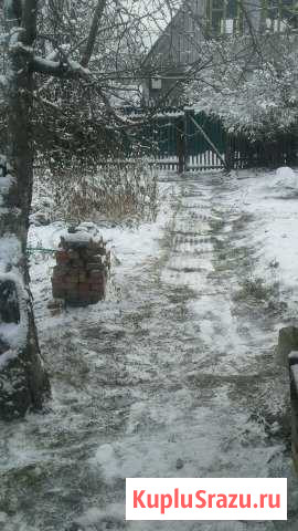 Дача 20 м² на участке 6 сот. на продажу в Барнауле Барнаул - изображение 1