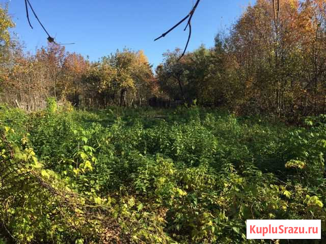 Участок СНТ, ДНП 8 сот. на продажу в Павлово Нижегородской области Павлово - изображение 2