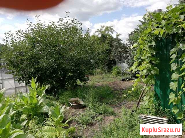 Дом 56 м² на участке 13 сот. на продажу в Борисоглебске Борисоглебск - изображение 3