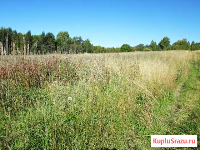 Участок СНТ, ДНП 265 сот. на продажу в Кондопоге Кондопога - изображение 3