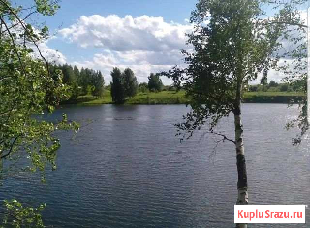 Участок СНТ, ДНП 115 сот. на продажу в Санкт-Петербурге Санкт-Петербург - изображение 1