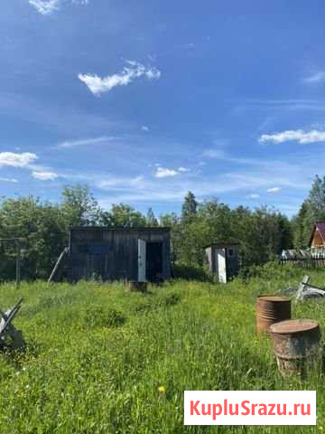 Дача 35 м² на участке 12 сот. на продажу в Сосногорске Сосногорск - изображение 3