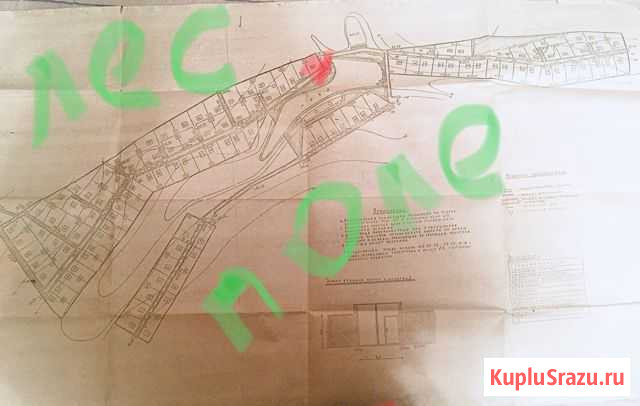 Участок СНТ, ДНП 6 сот. на продажу в Первомайском Московской области Первомайский - изображение 3