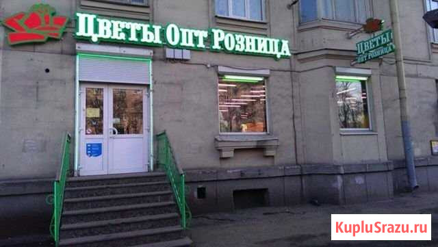 Торговое помещение по адресу ул. Типанова д.8 Санкт-Петербург - изображение 1