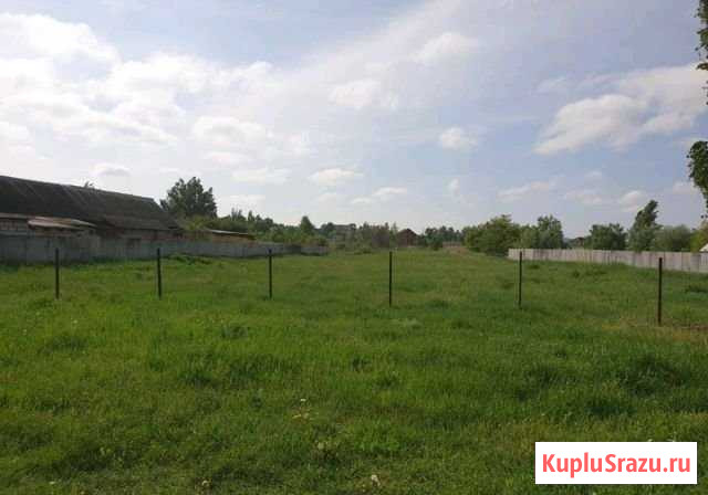Участок ИЖС 36 сот. на продажу в Разумном Разумное - изображение 2