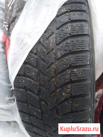 Автошины Bridgestone Юганец - изображение 1