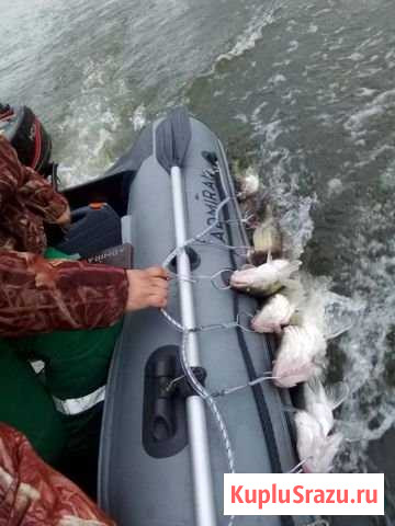 Адмирал 305 классик Альметьевск - изображение 1