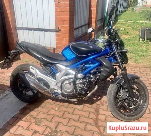 Suzuki Gladius 650 Жуков - изображение 1
