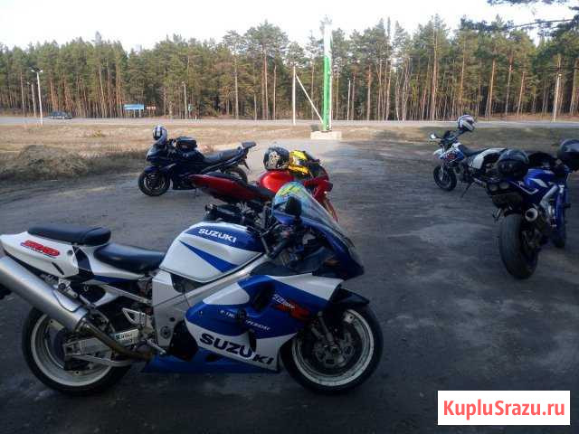 Suzuki TL1000R Курган - изображение 1