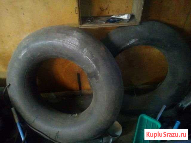 Камеры газ 53 Славгород - изображение 1