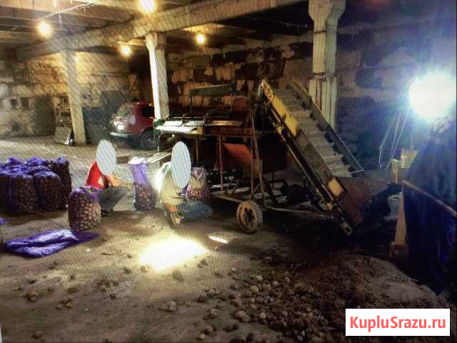Сортировка картофеля ксп-15Б Семенов - изображение 1