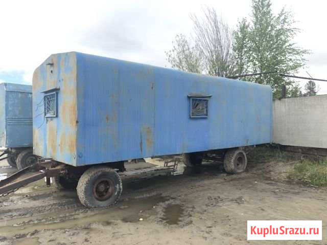 Кедр Нижневартовск - изображение 1