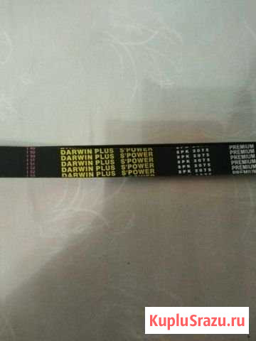 Ремень двигателя 6 рк 2048 лиаз Старая - изображение 1