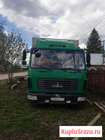 Продам маз зубренок Сапожок - изображение 1