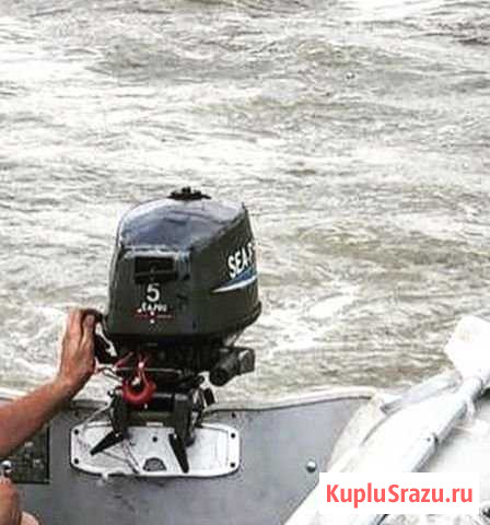 Лодочный мотор sea pro 5 Курсавка - изображение 1