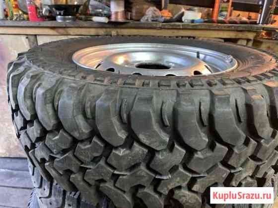 Forward Safari S40 Полярный