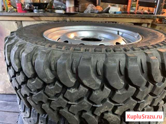 Forward Safari S40 Полярный - изображение 1