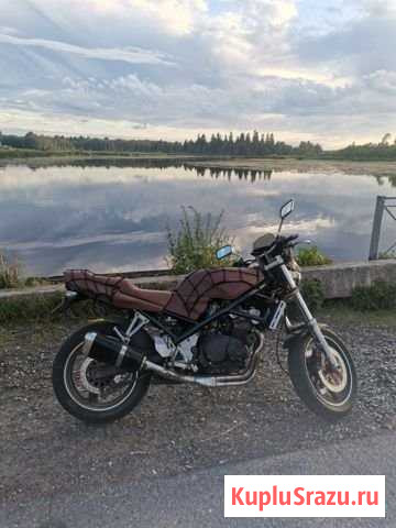 Suzuki Bandit 400 Гатчина - изображение 1