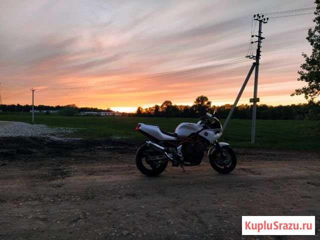 Yamaha TRX 850 Уфа - изображение 1