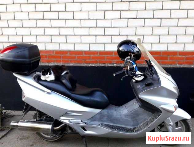 Honda forza mf 06 Максискутер Абинск - изображение 1