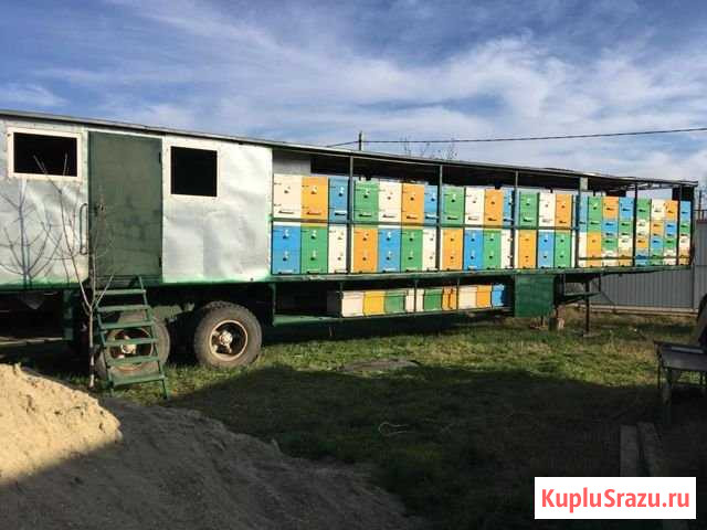 Пчелоприцеп Белореченск - изображение 1