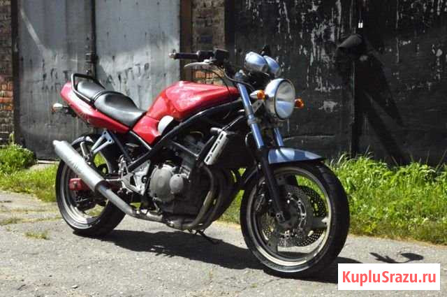 Suzuki bandit 250 Великие Луки - изображение 1