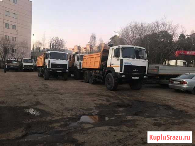 Маз 6517-05 Шишкин Лес - изображение 1
