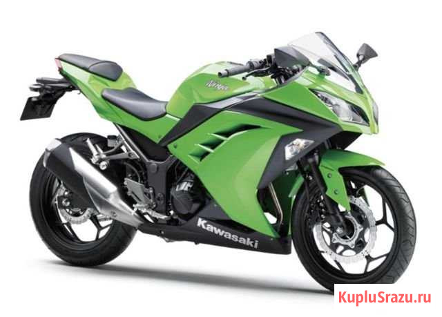 Kawasaki Ninja 300 2015г Киров - изображение 1