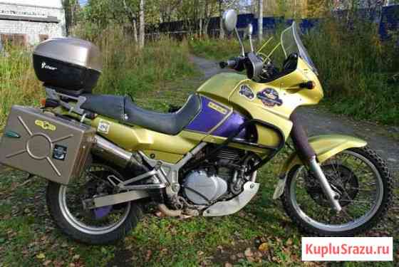 Kawasaki KLE 400 Апатиты