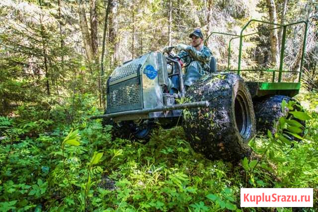 Снегоболотоход, вездеход, каракат Рыбинск - изображение 1