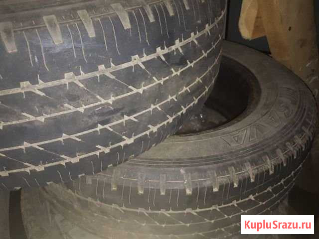 Комплект шин Котлас - изображение 1