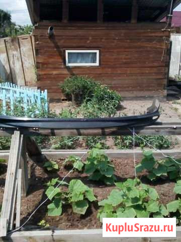Губа на Хонду орхиа партнёр Улан-Удэ - изображение 1