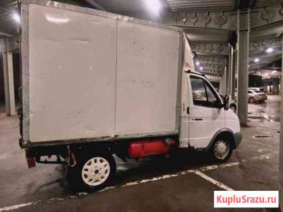 Соболь Волгоград