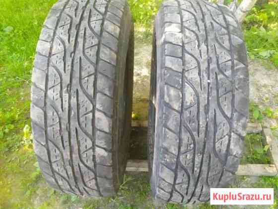 Dunlop 245 75 R16 2 шт Волосово