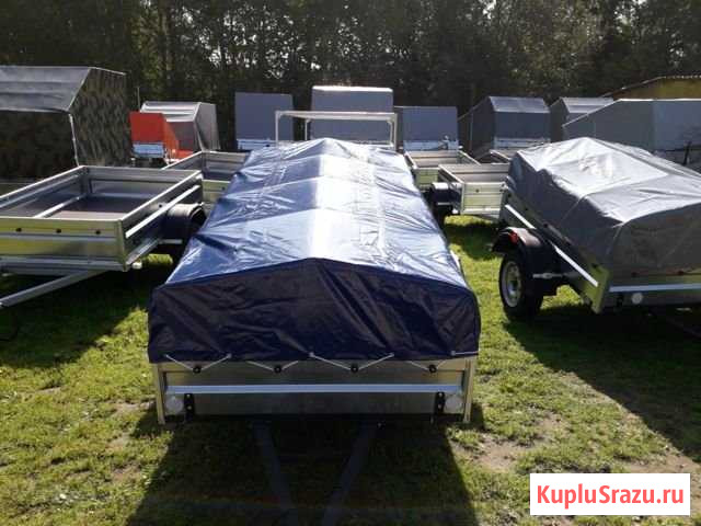 Прицеп Титан 2.5х1.25 без колес Кострома - изображение 1