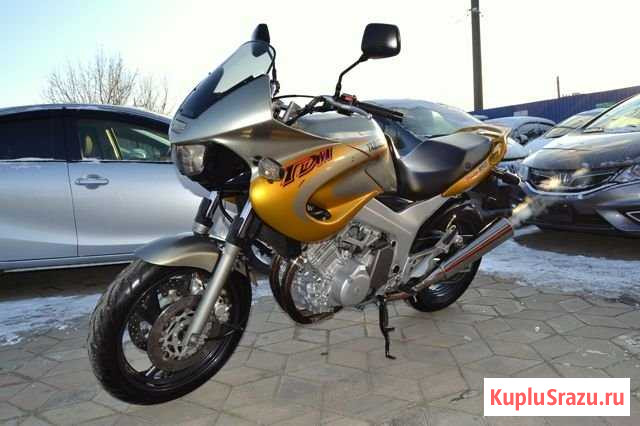 Yamaha TDM 850 (Из Японии) Краснодар - изображение 1