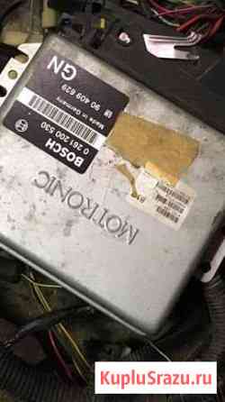 Эбу bosh Сосновый Бор