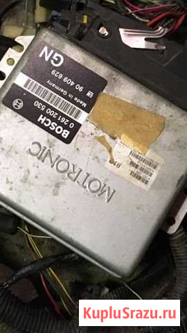 Эбу bosh Сосновый Бор - изображение 1