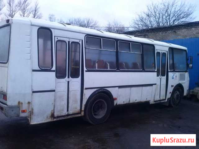 Паз-4234 Санкт-Петербург - изображение 1