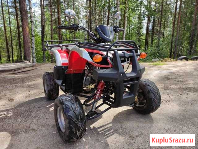 Детский квадроцикл ninja ABM Сегежа - изображение 1