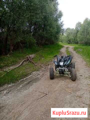 Irdis Atv 250 S Омск - изображение 1