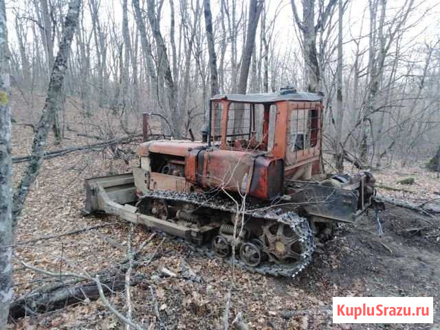 Дт 75 Апшеронск - изображение 1