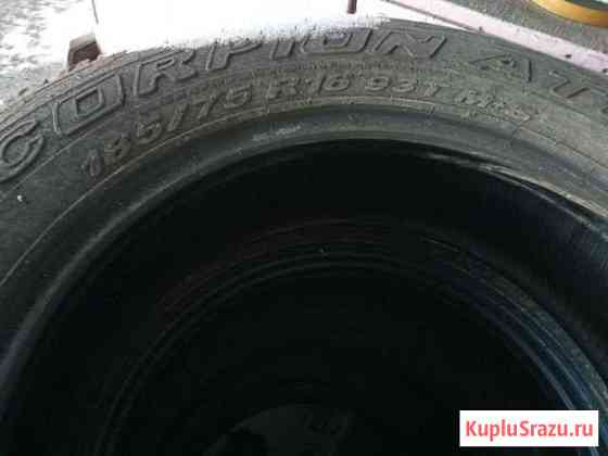 Pirelli Scorpion ATR 185 75 R16, для 4wd Белогорск