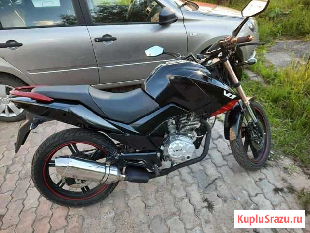 Irbis VJ 250 Холмогоры - изображение 1