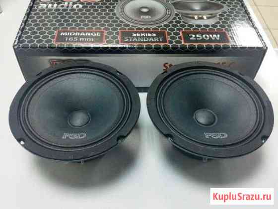 Эстрадная 16см акустика FSD audio Standart 165C Орёл