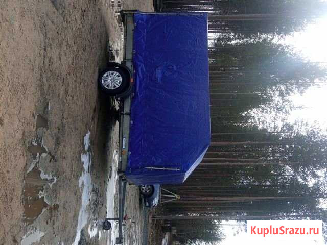 Прицеп вектор 2м *3.5м Петрозаводск - изображение 1